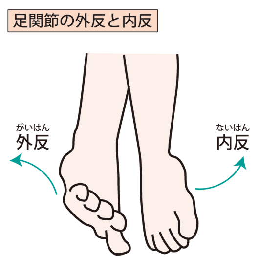 内反